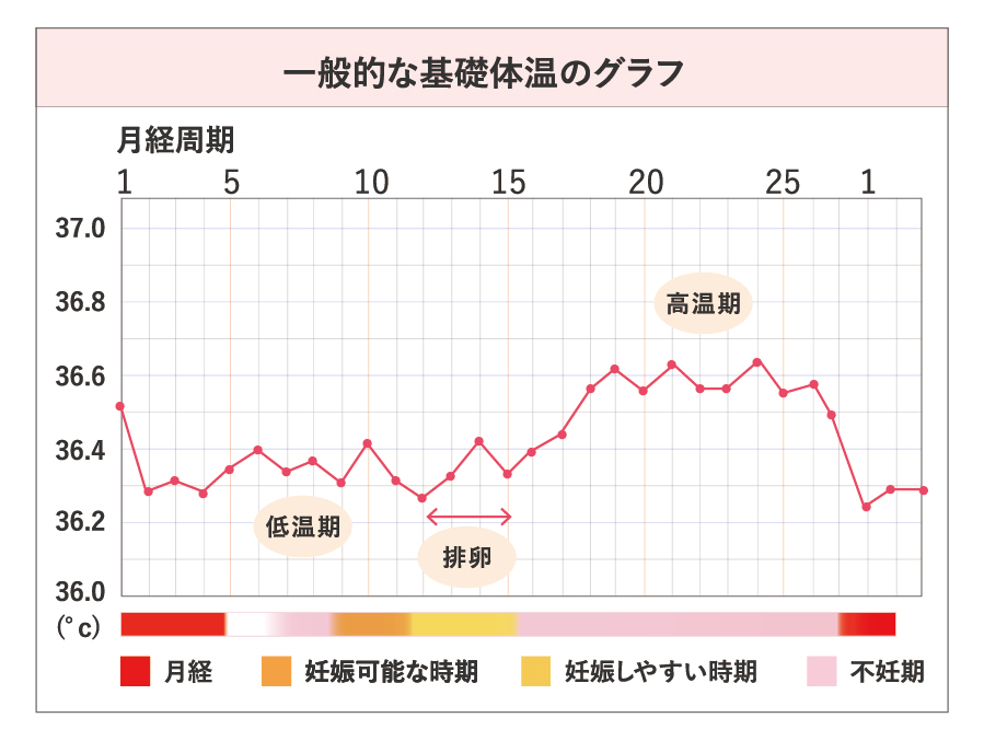 一般的な基礎体温のグラフ