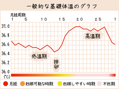 一般的な基礎体温のグラフ